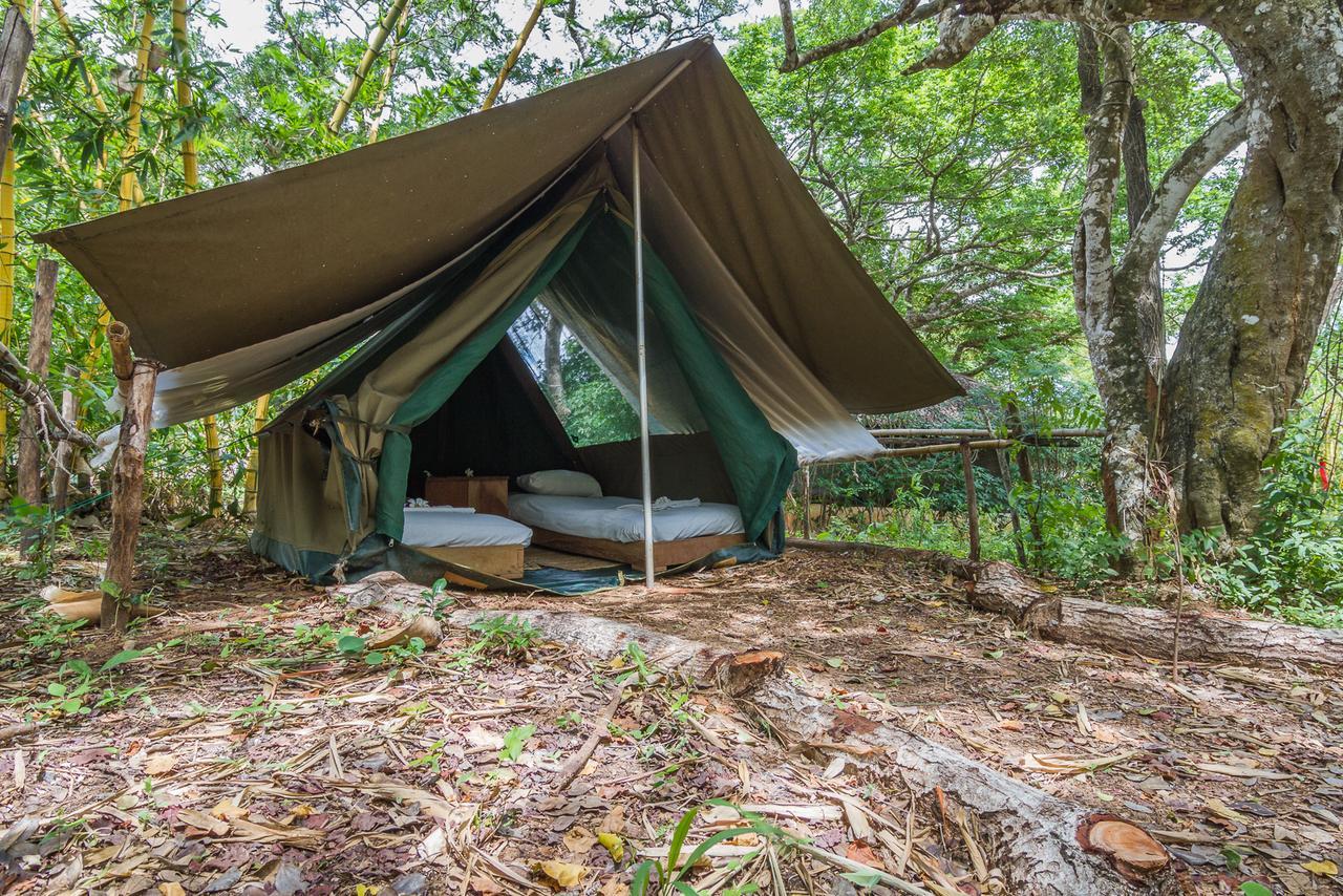 Distant Relatives Ecolodge & Backpackers Kilifi Exterior photo